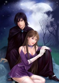 贅婿無雙