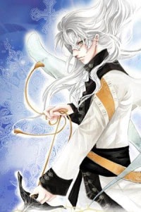 功夫球王