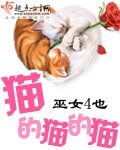 猫的猫的猫